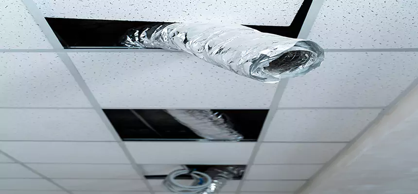 Our Air Duct Pet Hair Removal Services in Fort Washington, MD