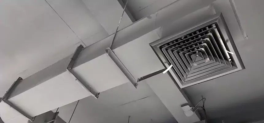 Our Pest Removal From Ducts Services in Fort Washington, MD