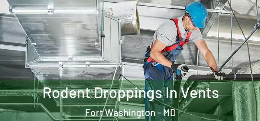  Rodent Droppings In Vents Fort Washington - MD