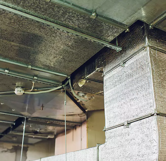 Why Homeowners & Businesses Trust Us in Fort Washington, MD?